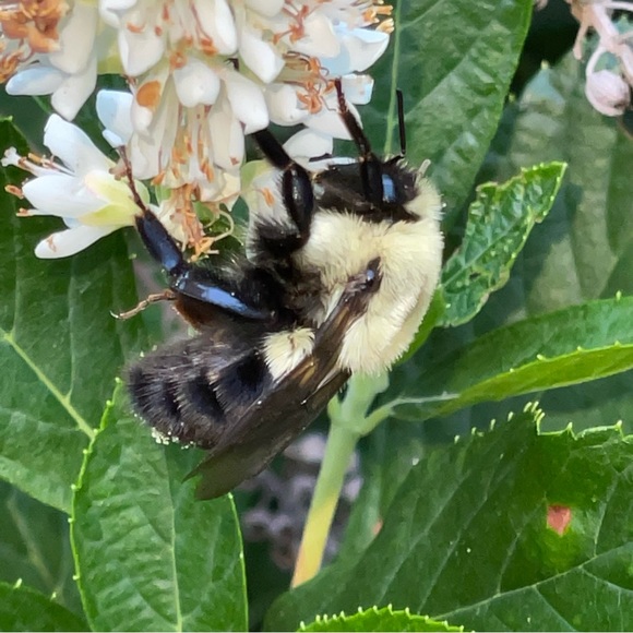 Like it? Make an offer! - Picture 5 of 9